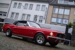 DSCF6037
