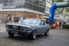 DSCF6724