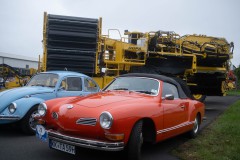 DSCF6794